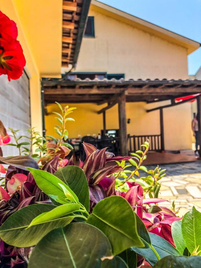 巴塞卢什Casa Sao Simao别墅 外观 照片